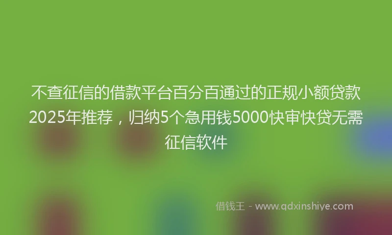 不查征信的借款平台百分百通过的正规小额贷款2025年推荐，归纳5个急用钱5000快审快贷无需征信软件