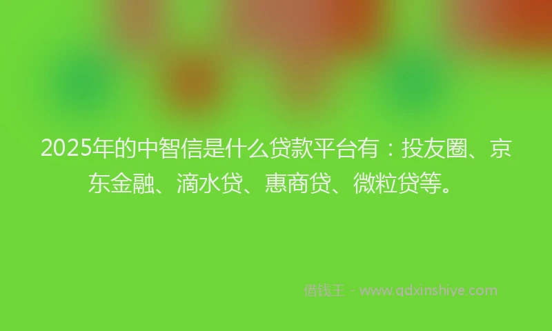 2025年的中智信是什么贷款平台有：投友圈、京东金融、滴水贷、惠商贷、微粒贷等。
