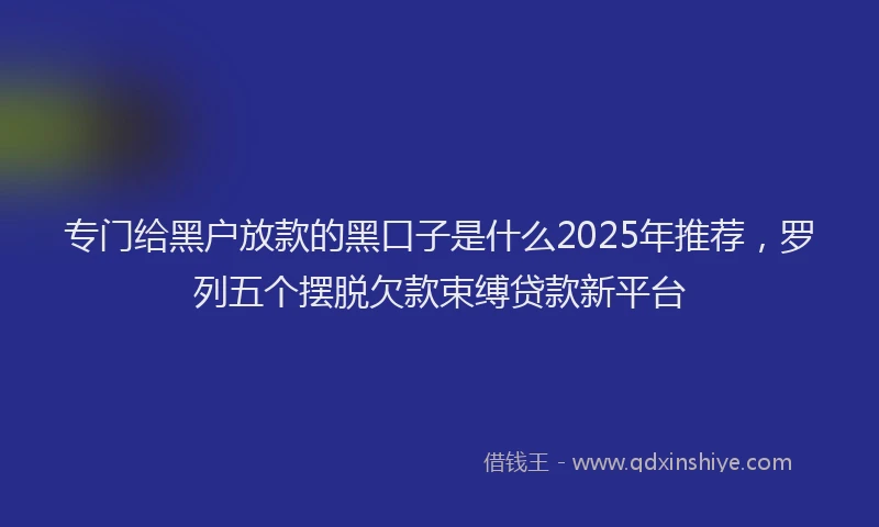 专门给黑户放款的黑口子是什么2025年推荐，罗列五个摆脱欠款束缚贷款新平台