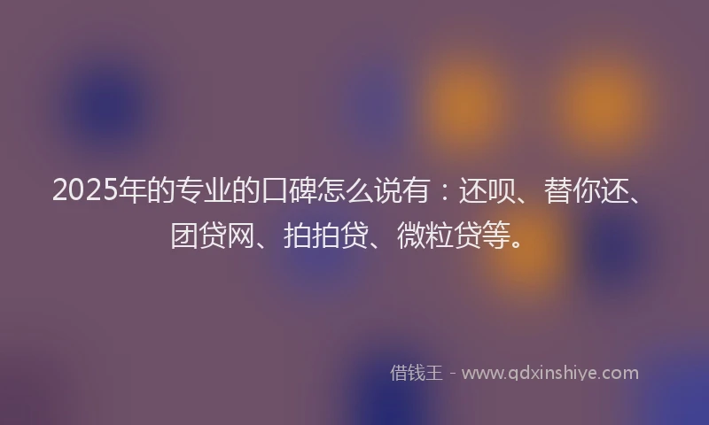 2025年的专业的口碑怎么说有：还呗、替你还、团贷网、拍拍贷、微粒贷等。