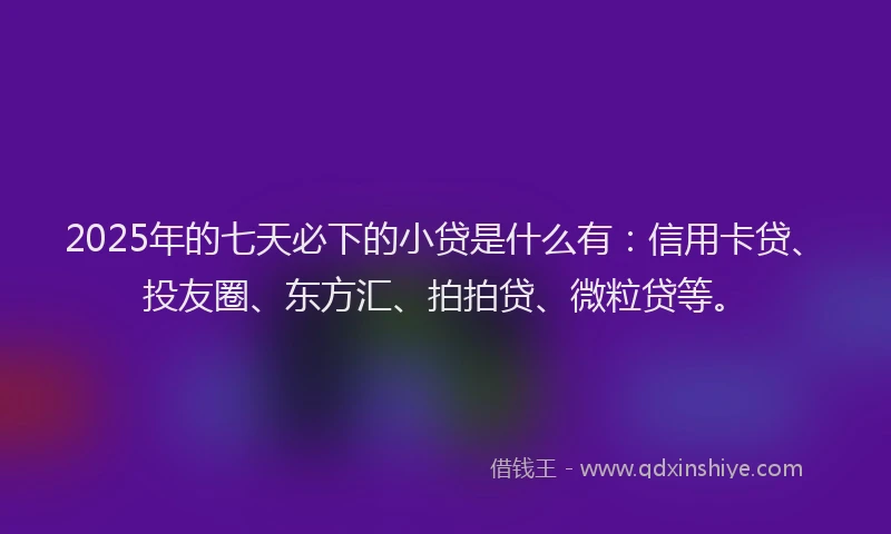 2025年的七天必下的小贷是什么有：信用卡贷、投友圈、东方汇、拍拍贷、微粒贷等。