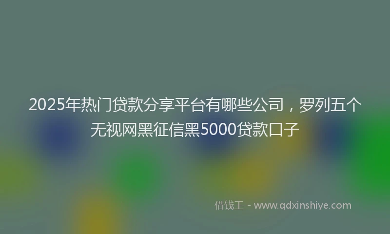 2025年热门贷款分享平台有哪些公司，罗列五个无视网黑征信黑5000贷款口子