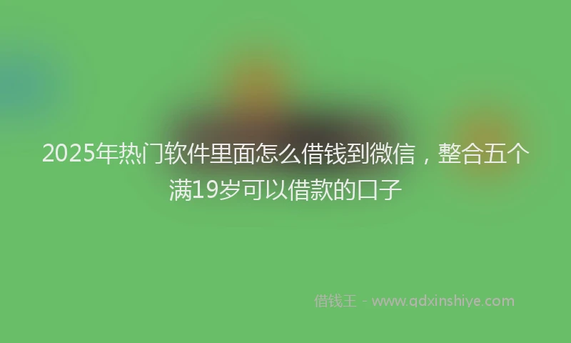 2025年热门软件里面怎么借钱到微信，整合五个满19岁可以借款的口子