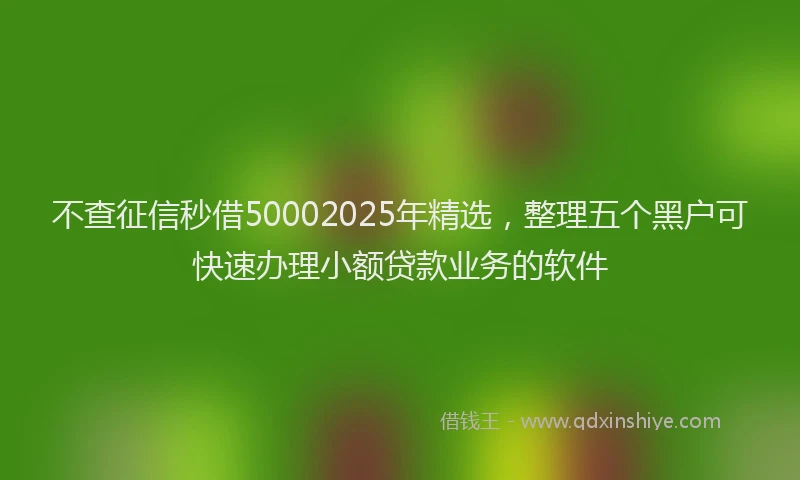 不查征信秒借50002025年精选，整理五个黑户可快速办理小额贷款业务的软件