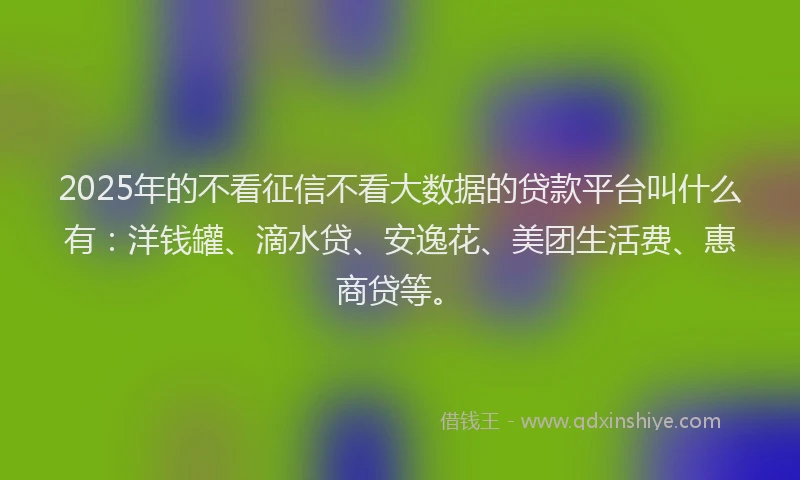 2025年的不看征信不看大数据的贷款平台叫什么有：洋钱罐、滴水贷、安逸花、美团生活费、惠商贷等。