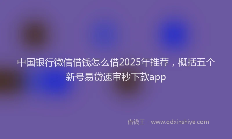 中国银行微信借钱怎么借2025年推荐，概括五个新号易贷速审秒下款app