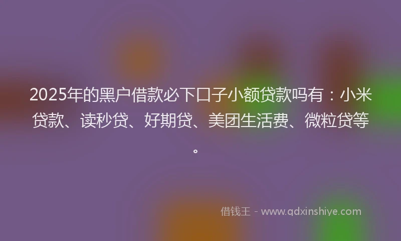 2025年的黑户借款必下口子小额贷款吗有：小米贷款、读秒贷、好期贷、美团生活费、微粒贷等。