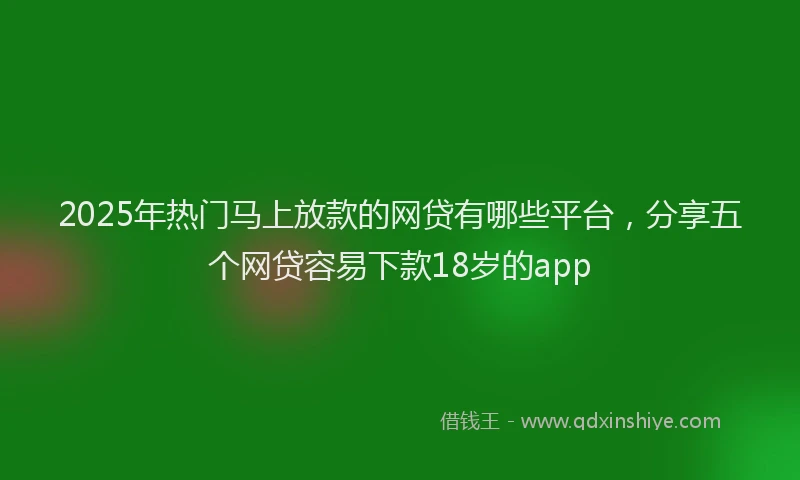 2025年热门马上放款的网贷有哪些平台，分享五个网贷容易下款18岁的app