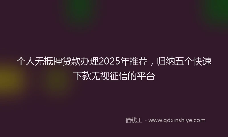 个人无抵押贷款办理2025年推荐，归纳五个快速下款无视征信的平台