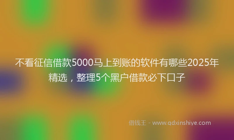 不看征信借款5000马上到账的软件有哪些2025年精选，整理5个黑户借款必下口子