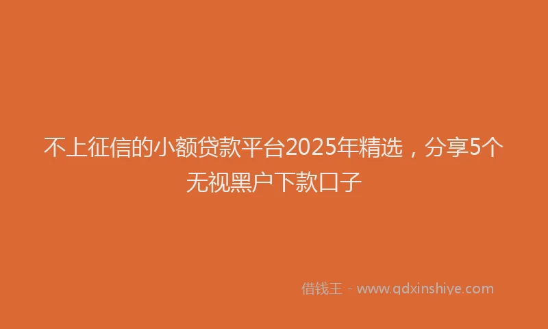 不上征信的小额贷款平台2025年精选，分享5个无视黑户下款口子