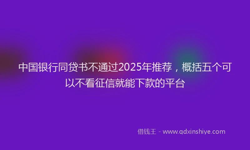 中国银行同贷书不通过2025年推荐，概括五个可以不看征信就能下款的平台