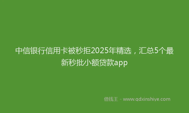 中信银行信用卡被秒拒2025年精选，汇总5个最新秒批小额贷款app