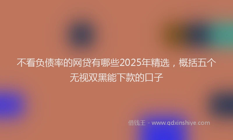 不看负债率的网贷有哪些2025年精选，概括五个无视双黑能下款的口子