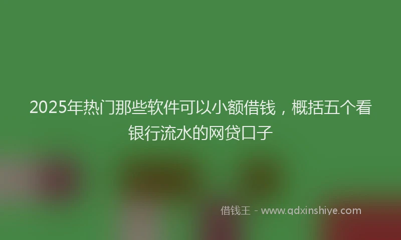 2025年热门那些软件可以小额借钱，概括五个看银行流水的网贷口子