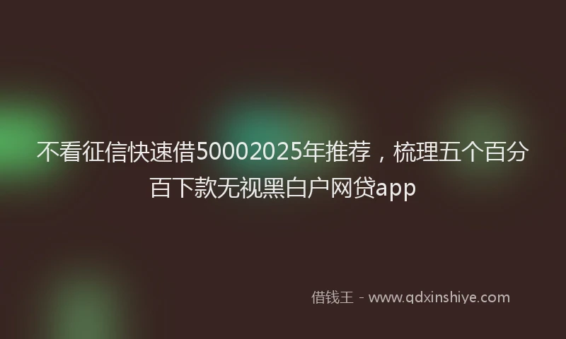 不看征信快速借50002025年推荐，梳理五个百分百下款无视黑白户网贷app