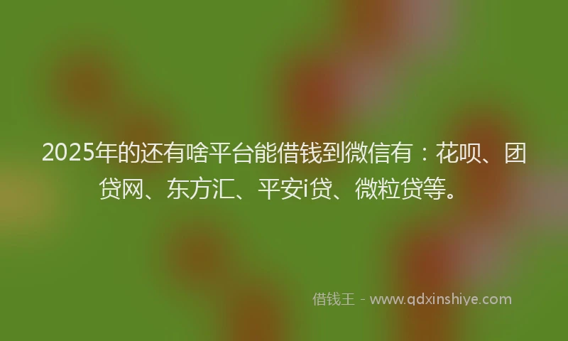 2025年的还有啥平台能借钱到微信有：花呗、团贷网、东方汇、平安i贷、微粒贷等。