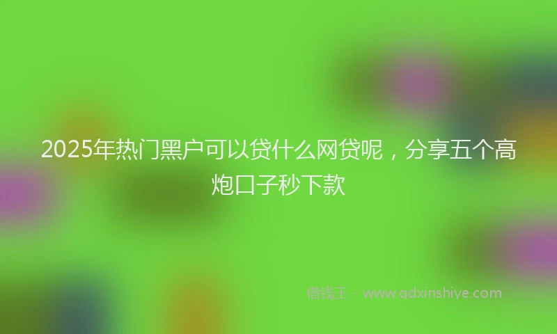 2025年热门黑户可以贷什么网贷呢，分享五个高炮口子秒下款