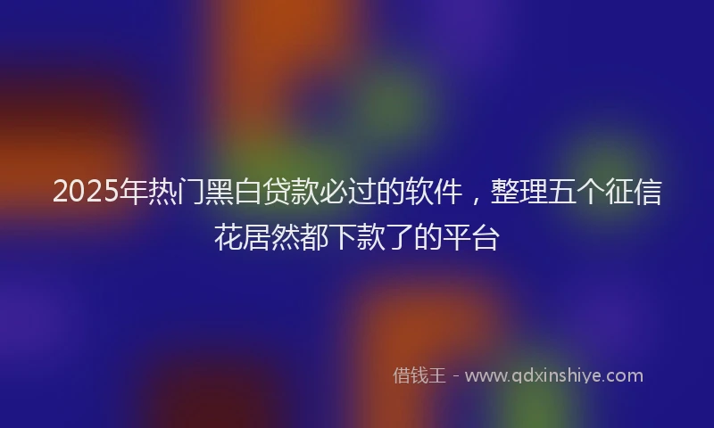 2025年热门黑白贷款必过的软件，整理五个征信花居然都下款了的平台