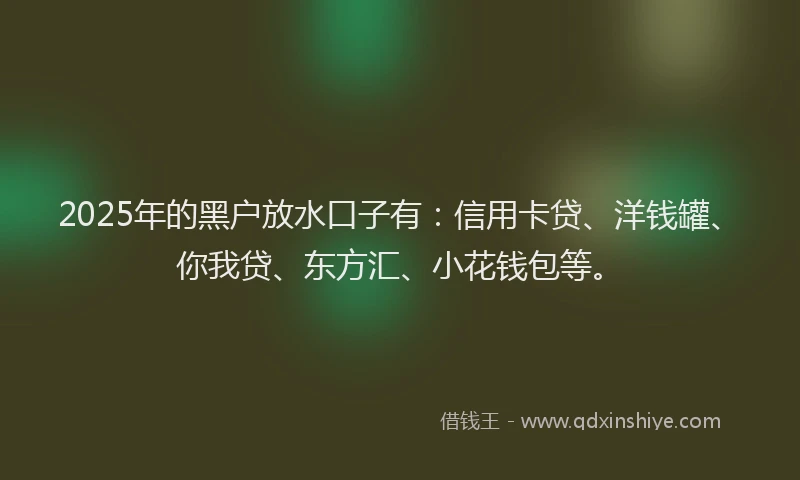 2025年的黑户放水口子有：信用卡贷、洋钱罐、你我贷、东方汇、小花钱包等。