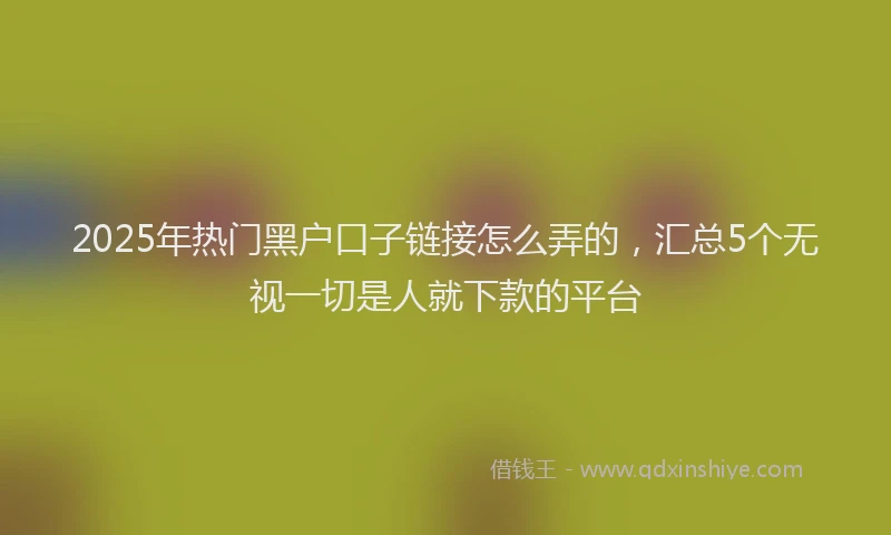 2025年热门黑户口子链接怎么弄的，汇总5个无视一切是人就下款的平台