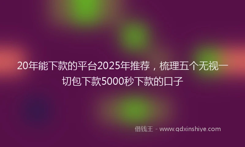 20年能下款的平台2025年推荐，梳理五个无视一切包下款5000秒下款的口子