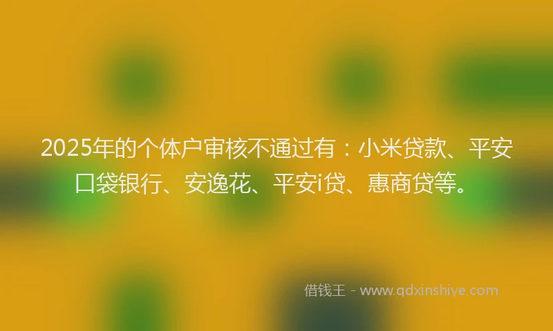 2025年的个体户审核不通过有：小米贷款、平安口袋银行、安逸花、平安i贷、惠商贷等。