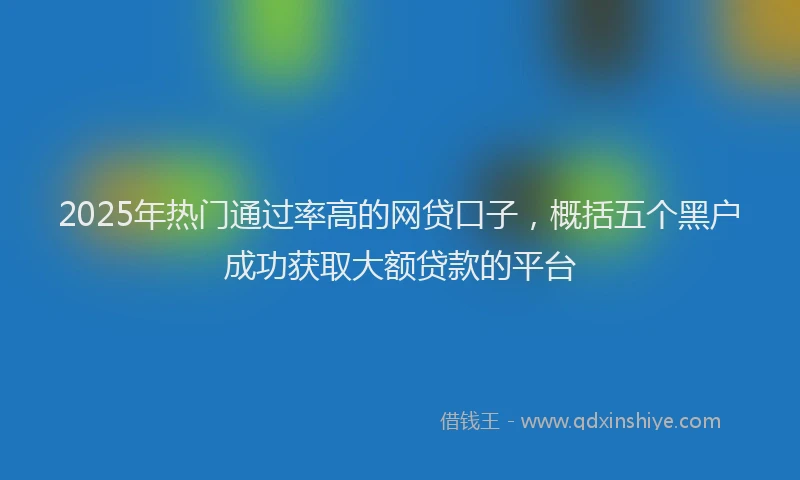 2025年热门通过率高的网贷口子，概括五个黑户成功获取大额贷款的平台