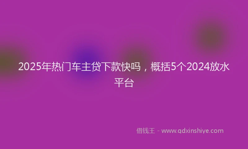 2025年热门车主贷下款快吗，概括5个2024放水平台