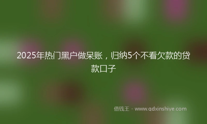 2025年热门黑户做呆账，归纳5个不看欠款的贷款口子