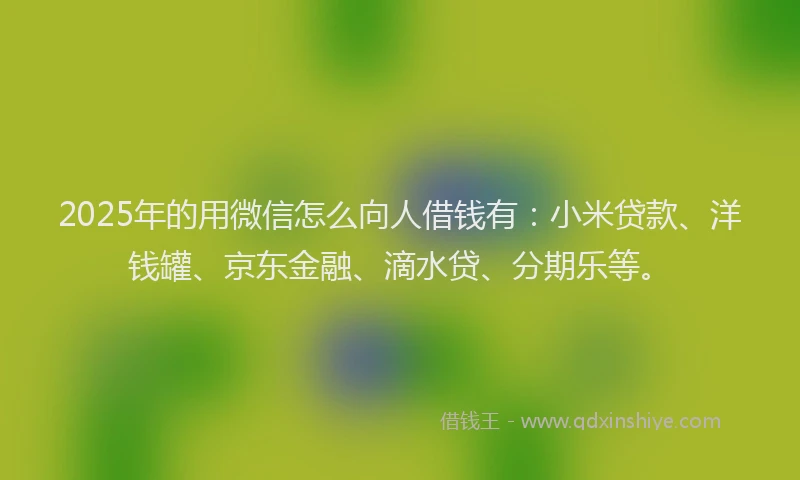 2025年的用微信怎么向人借钱有：小米贷款、洋钱罐、京东金融、滴水贷、分期乐等。