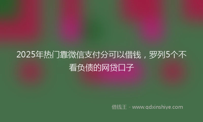 2025年热门靠微信支付分可以借钱，罗列5个不看负债的网贷口子