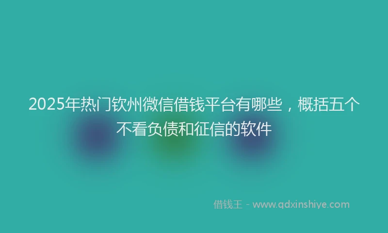 2025年热门钦州微信借钱平台有哪些，概括五个不看负债和征信的软件