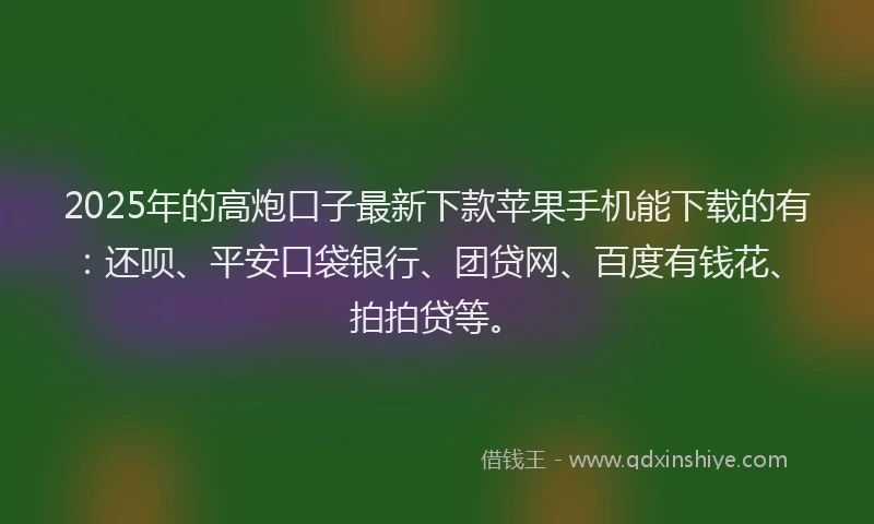 2025年的高炮口子最新下款苹果手机能下载的有：还呗、平安口袋银行、团贷网、百度有钱花、拍拍贷等。
