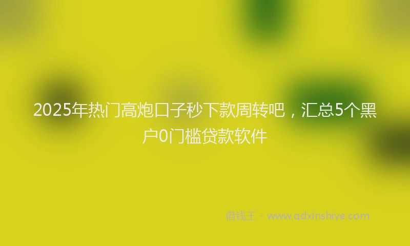 2025年热门高炮口子秒下款周转吧，汇总5个黑户0门槛贷款软件