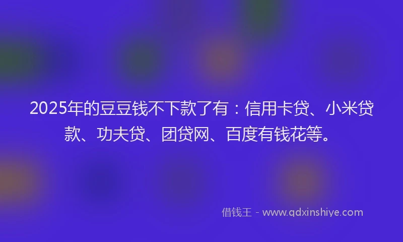 2025年的豆豆钱不下款了有：信用卡贷、小米贷款、功夫贷、团贷网、百度有钱花等。