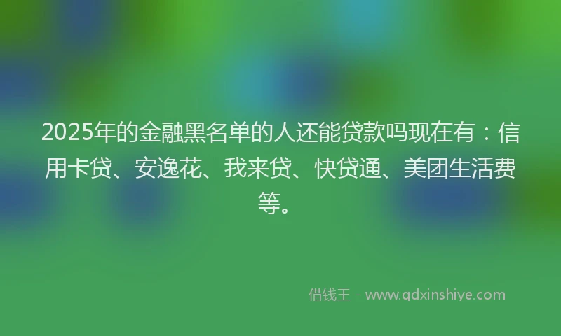 2025年的金融黑名单的人还能贷款吗现在有：信用卡贷、安逸花、我来贷、快贷通、美团生活费等。