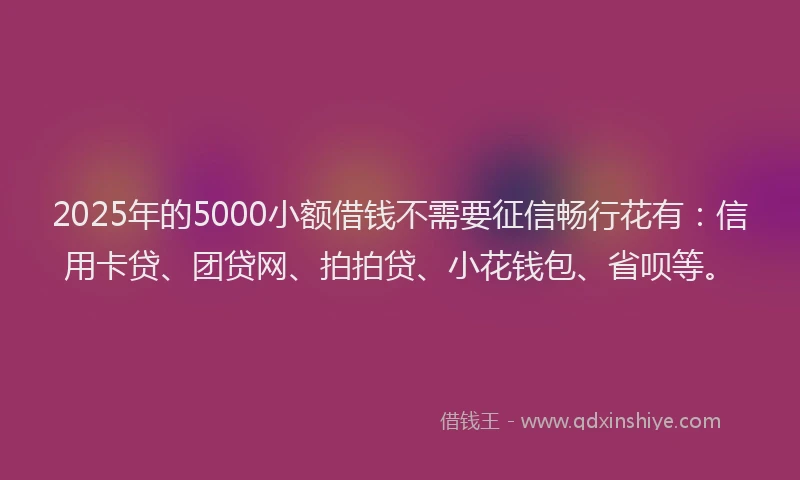 2025年的5000小额借钱不需要征信畅行花有：信用卡贷、团贷网、拍拍贷、小花钱包、省呗等。