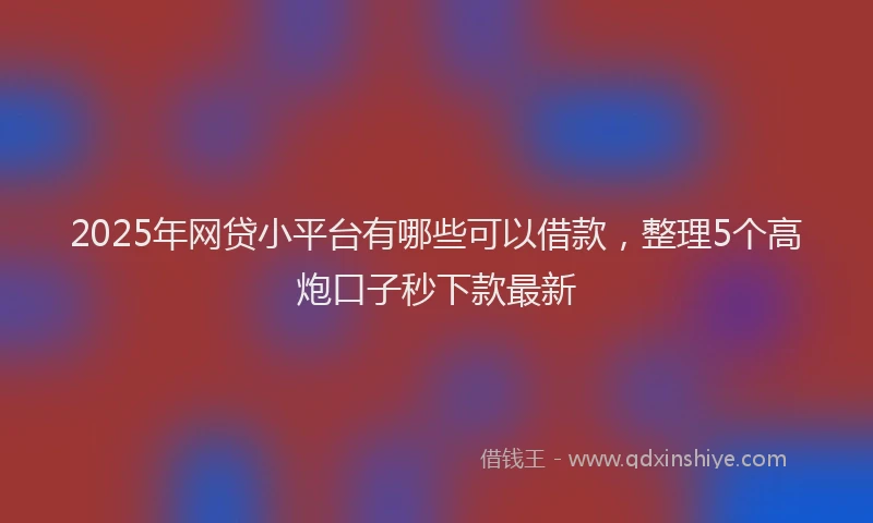 2025年网贷小平台有哪些可以借款，整理5个高炮口子秒下款最新