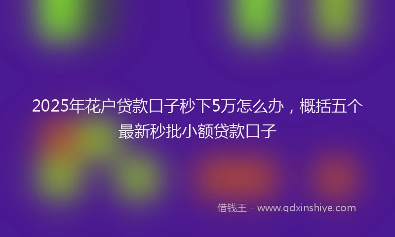2025年花户贷款口子秒下5万怎么办，概括五个最新秒批小额贷款口子