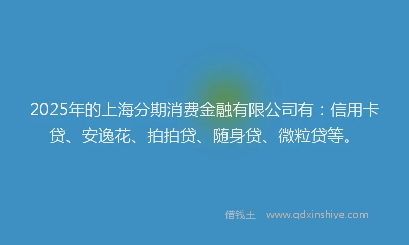 2025年的上海分期消费金融有限公司有：信用卡贷、安逸花、拍拍贷、随身贷、微粒贷等。