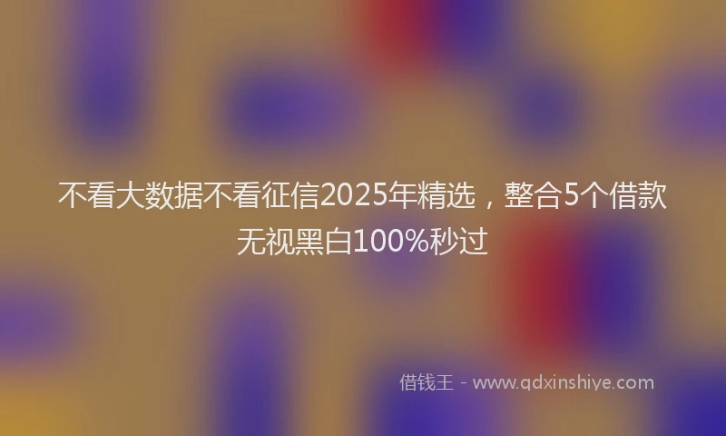 不看大数据不看征信2025年精选，整合5个借款无视黑白100%秒过