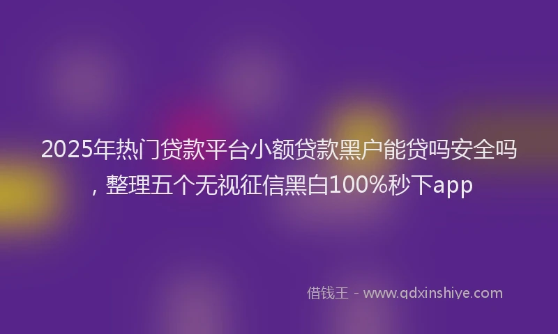 2025年热门贷款平台小额贷款黑户能贷吗安全吗，整理五个无视征信黑白100%秒下app