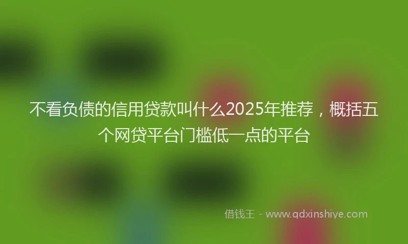 不看负债的信用贷款叫什么2025年推荐，概括五个网贷平台门槛低一点的平台