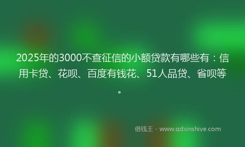2025年的3000不查征信的小额贷款有哪些有：信用卡贷、花呗、百度有钱花、51人品贷、省呗等。
