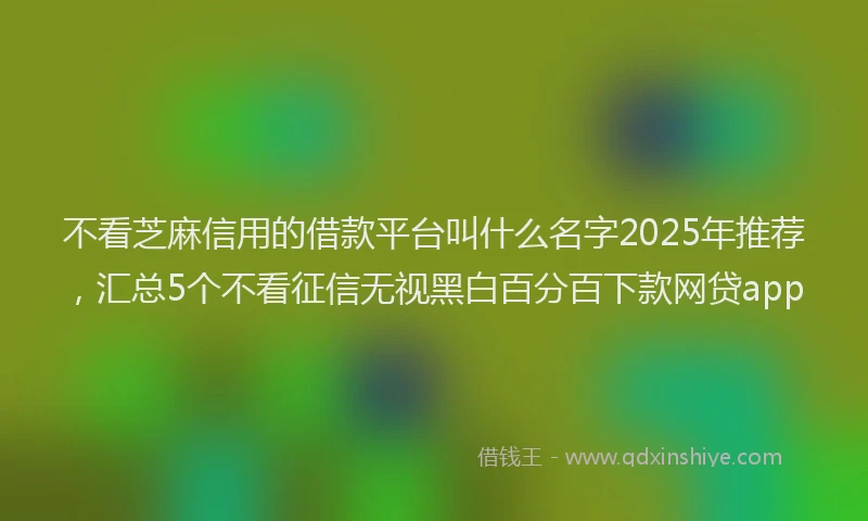 不看芝麻信用的借款平台叫什么名字2025年推荐，汇总5个不看征信无视黑白百分百下款网贷app