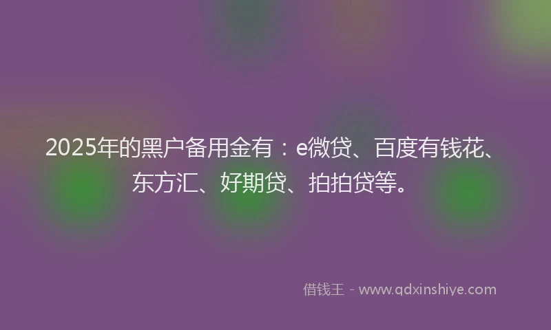 2025年的黑户备用金有：e微贷、百度有钱花、东方汇、好期贷、拍拍贷等。