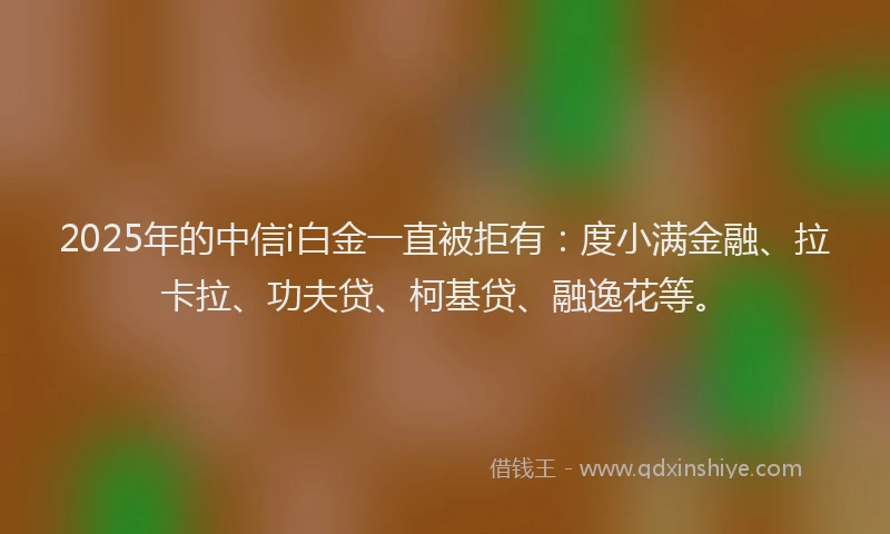2025年的中信i白金一直被拒有：度小满金融、拉卡拉、功夫贷、柯基贷、融逸花等。