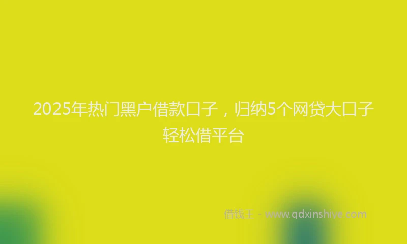 2025年热门黑户借款口子，归纳5个网贷大口子轻松借平台