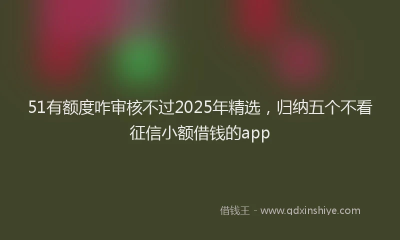 51有额度咋审核不过2025年精选，归纳五个不看征信小额借钱的app